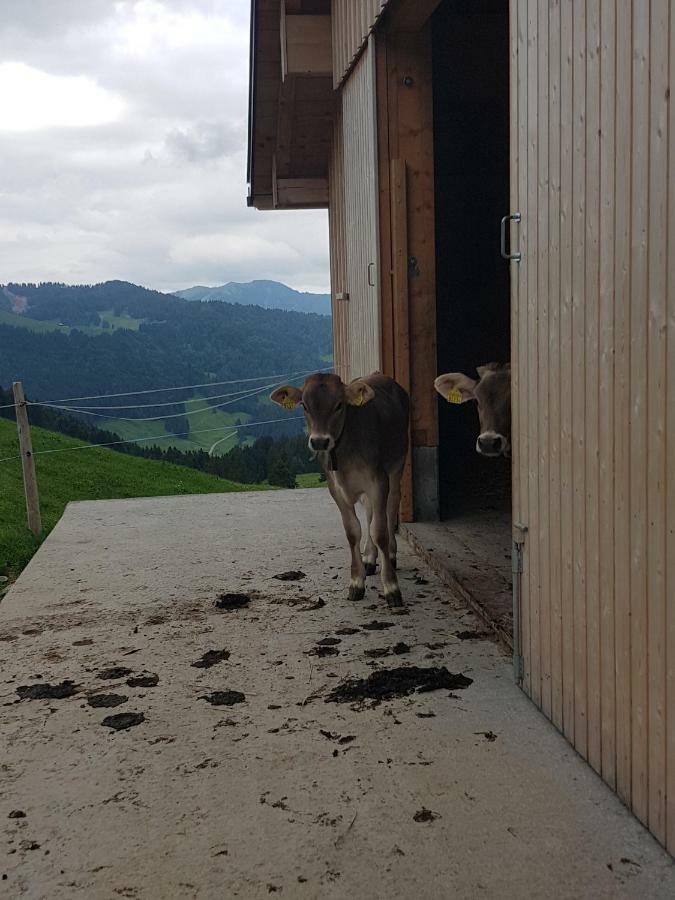 Apartamento Ferien Im Gugger Nesslau Exterior foto